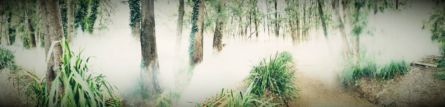 Fog Machine – Beautiful Landscape Scenery of Northern Hardwood Forest Ideal for Decorations, Wall Art and Interior Design - @AllenbyArt
