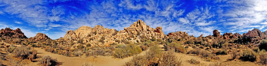 As Above, So Below – Beautiful Landscape Scenery of Shrubland Ideal for Decorations, Wall Art, Posters and Interior Design - @AllenbyArt