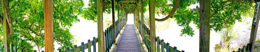 Bridge to Light – Beautiful Landscape Scenery of Outdoor Center Boomkroonpad Ideal for Decorations, Wall Art and Interior - @AllenbyArt