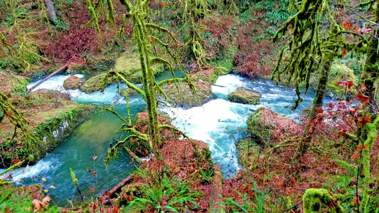 Flowin’ Free – Beautiful Landscape Scenery of Natural Landscape Ideal for Decorations, Wall Art, Posters and Interior Design - @AllenbyArt