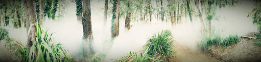Fog Machine – Beautiful Landscape Scenery of Northern Hardwood Forest Ideal for Decorations, Wall Art and Interior Design - @AllenbyArt