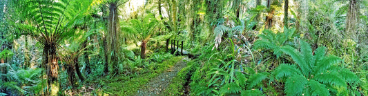 Follow Me – Beautiful Landscape Scenery of Natural Forest Ideal for Decorations, Wall Art, Posters and Interior Design - @AllenbyArt