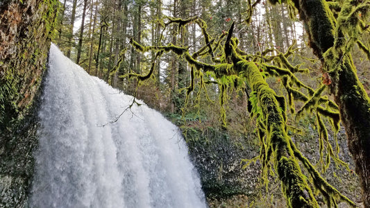 Mossy Falls – Beautiful Landscape Scenery of Silver Falls State Park Ideal for Decorations, Wall Art and Interior Design - @AllenbyArt